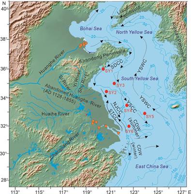 Genetic types and provenance indication of clastic amphibole in the South Yellow Sea